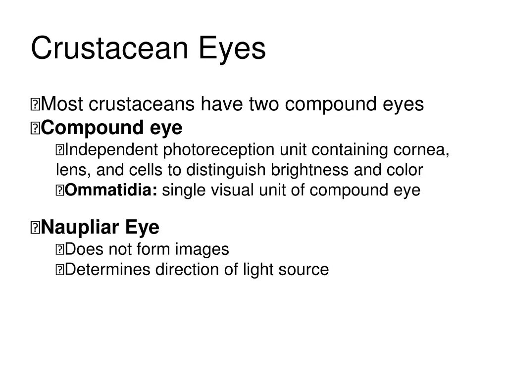 crustacean eyes