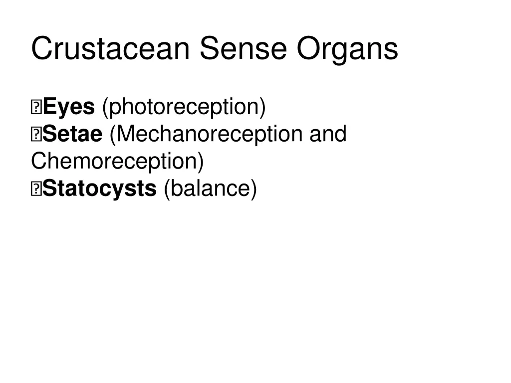 crustacean sense organs