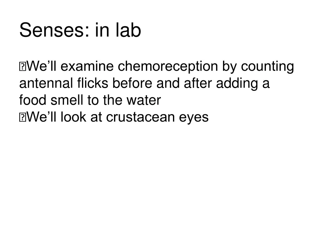 senses in lab