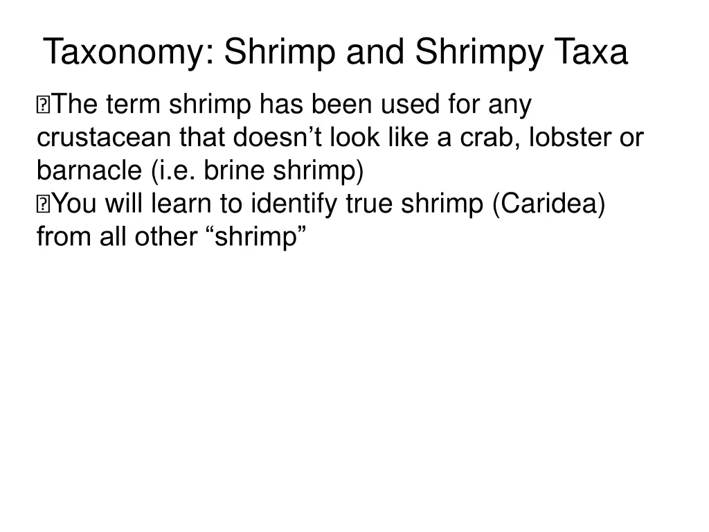 taxonomy shrimp and shrimpy taxa