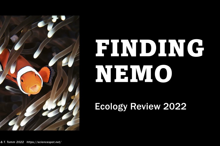 finding nemo