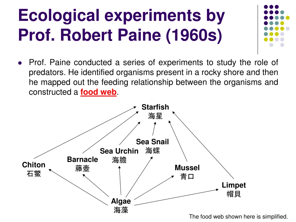 ecological experiments by prof robert paine 1960s