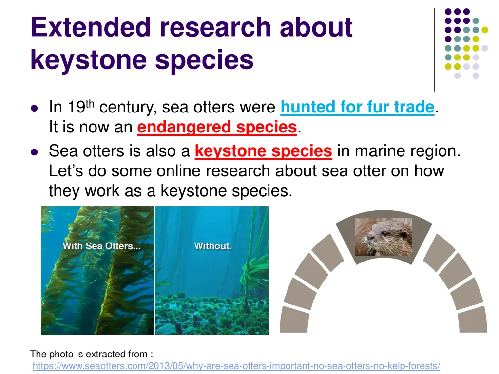 extended research about keystone species