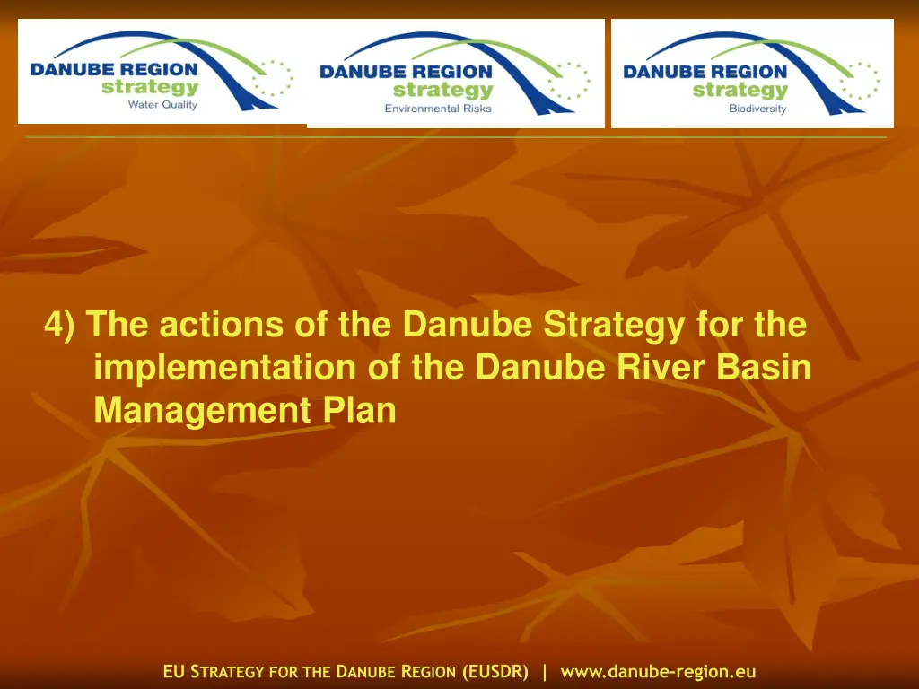 4 the actions of the danube strategy