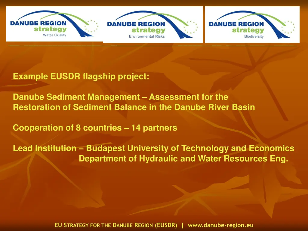 example eusdr flagship project