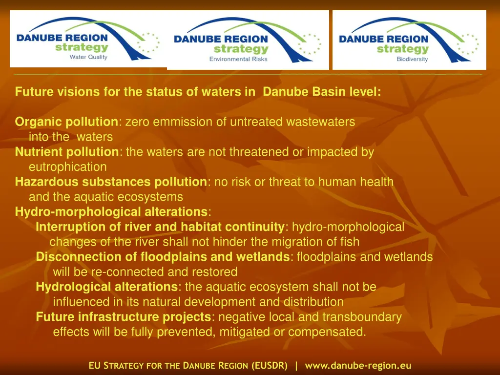 future visions for the status of waters in danube