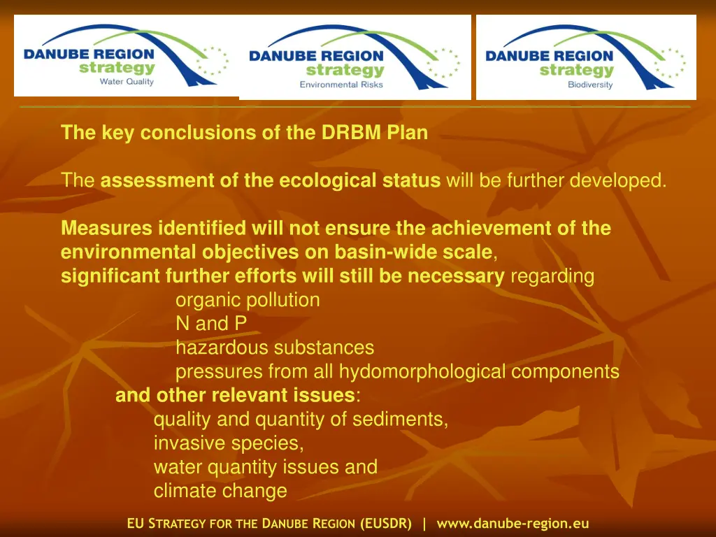 the key conclusions of the drbm plan