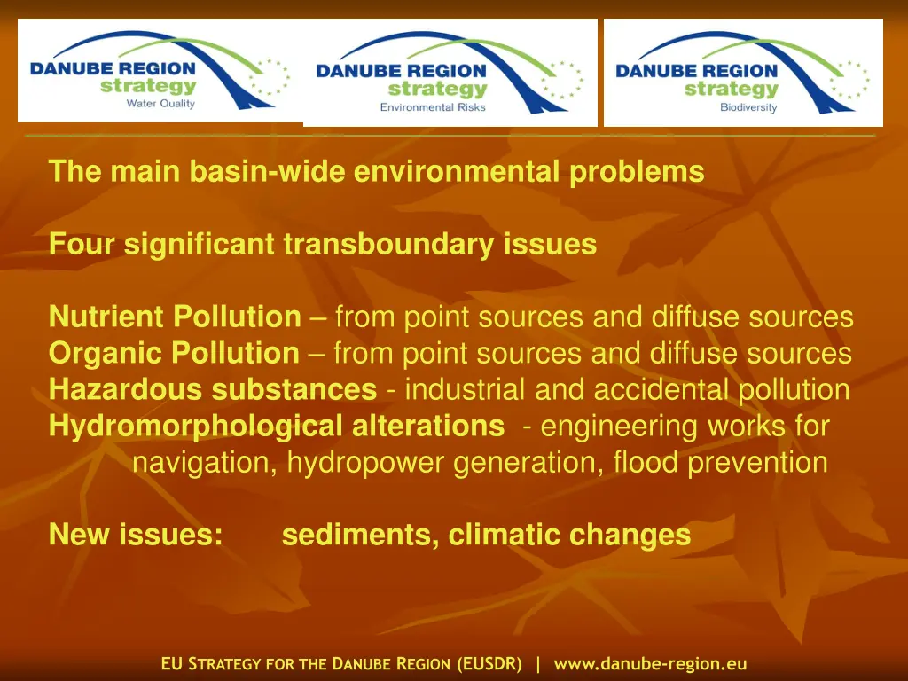 the main basin wide environmental problems