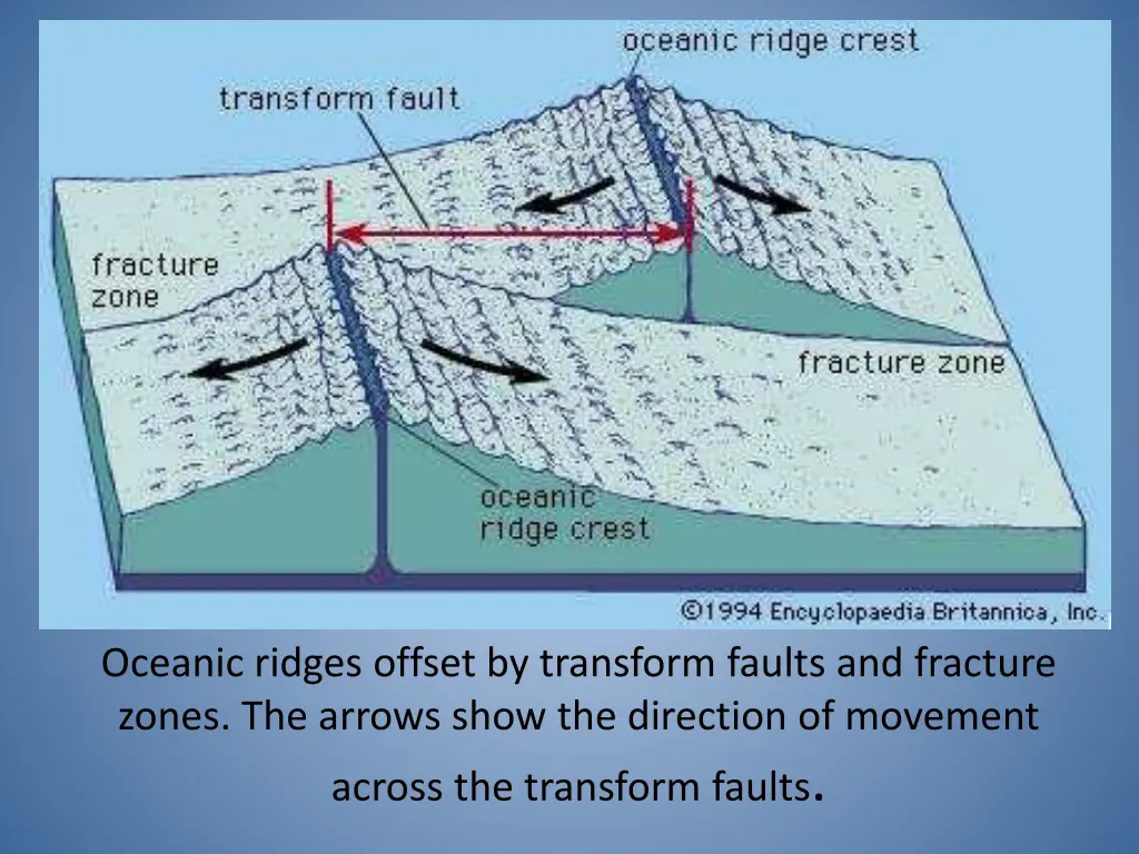 oceanic ridges offset by transform faults