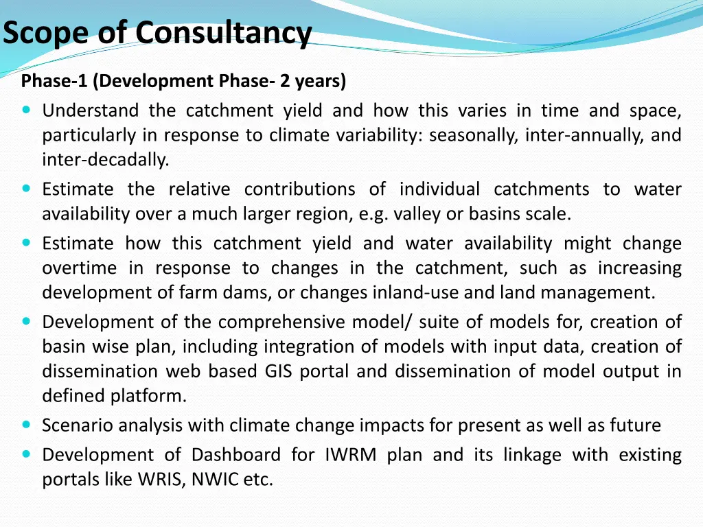 scope of consultancy