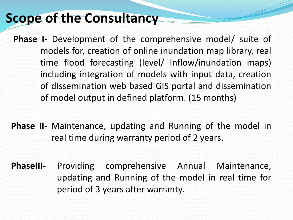 scope of the consultancy