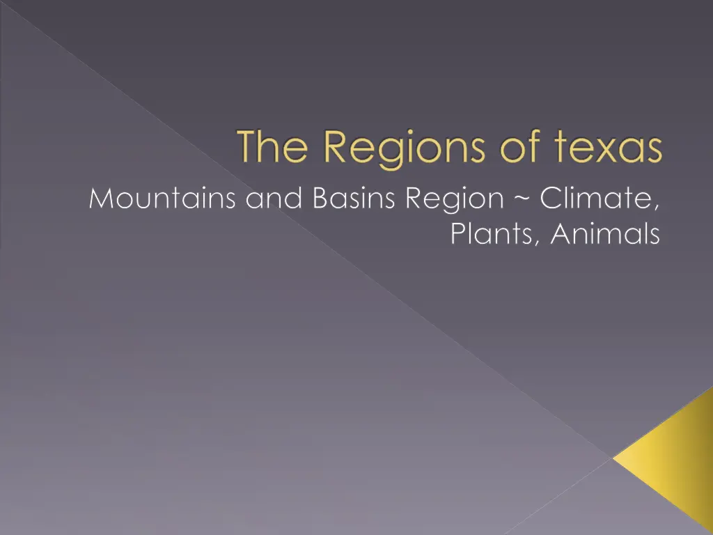 the regions of texas mountains and basins region