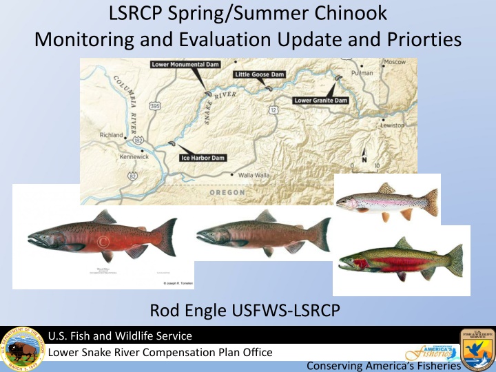 lsrcp spring summer chinook monitoring