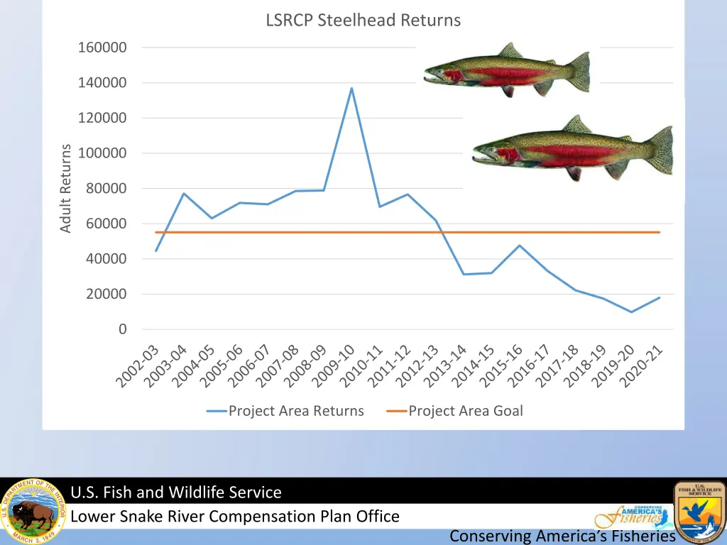 lsrcp steelhead returns