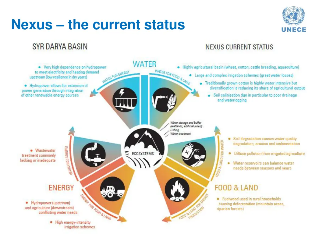 nexus the current status