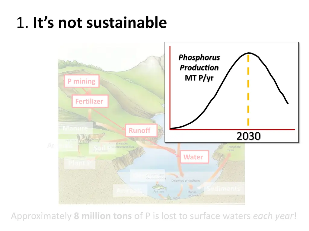 1 it s not sustainable 1