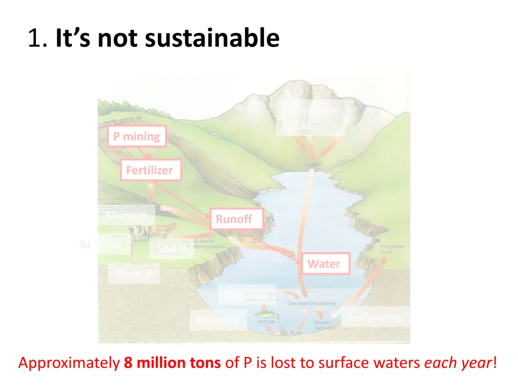 1 it s not sustainable