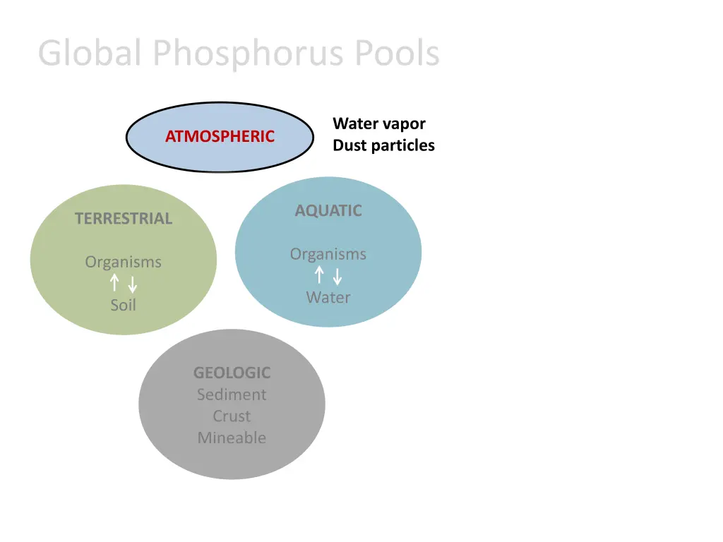 global phosphorus pools 1