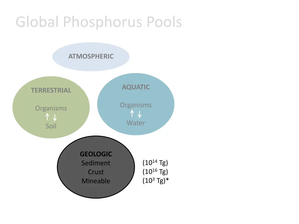 global phosphorus pools 2