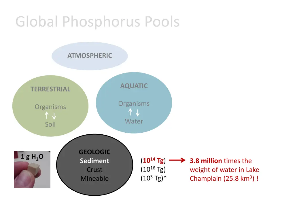 global phosphorus pools 3