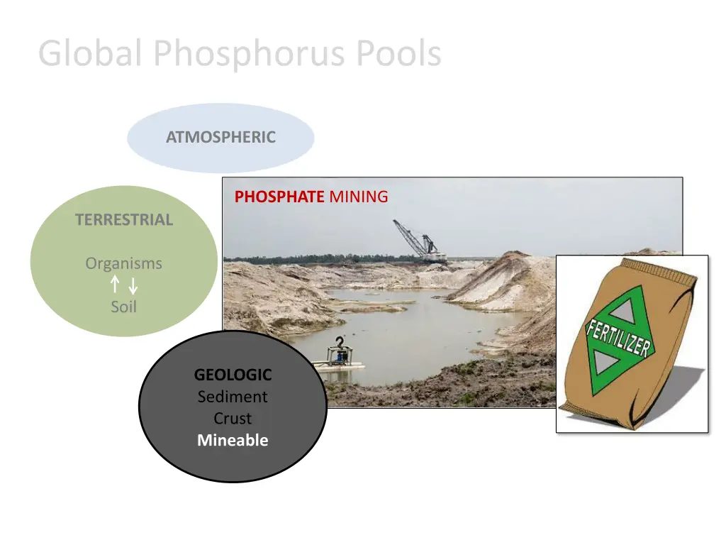 global phosphorus pools 4