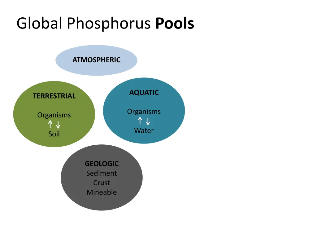 global phosphorus pools