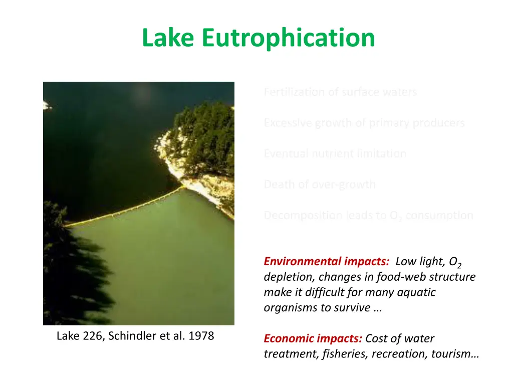 lake eutrophication 1