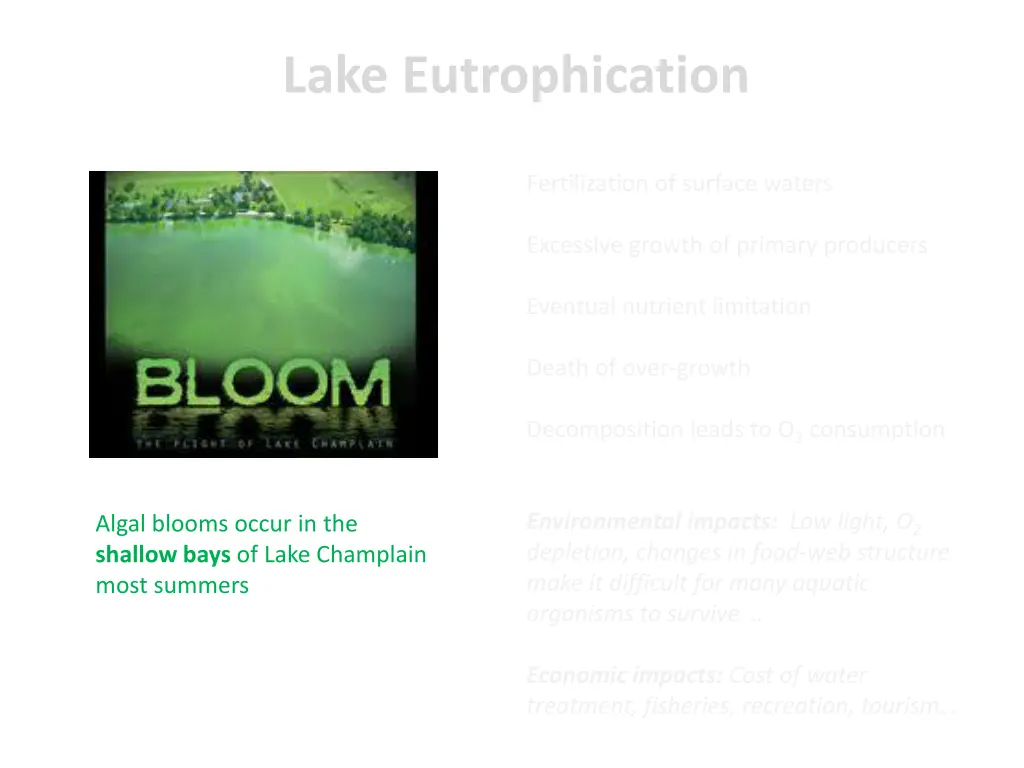 lake eutrophication 2