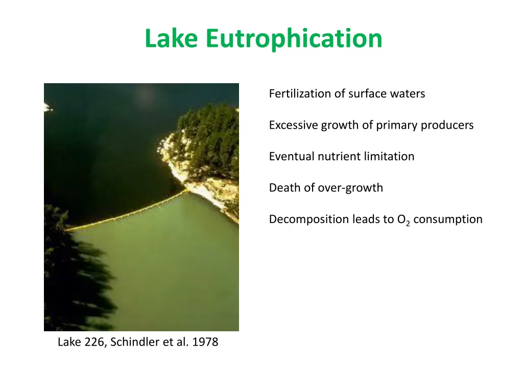 lake eutrophication