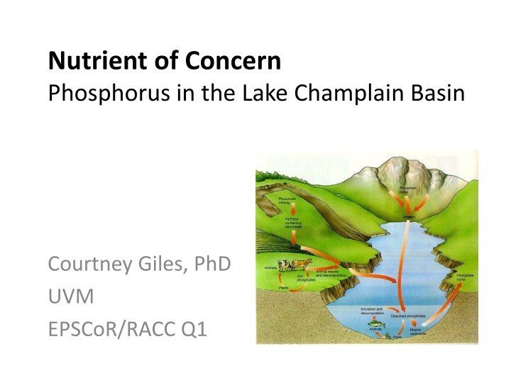 nutrient of concern phosphorus in the lake