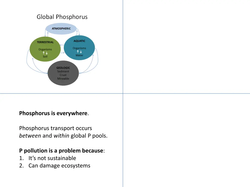 phosphorus is everywhere