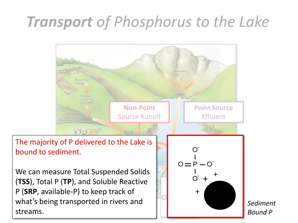 transport of phosphorus to the lake 2