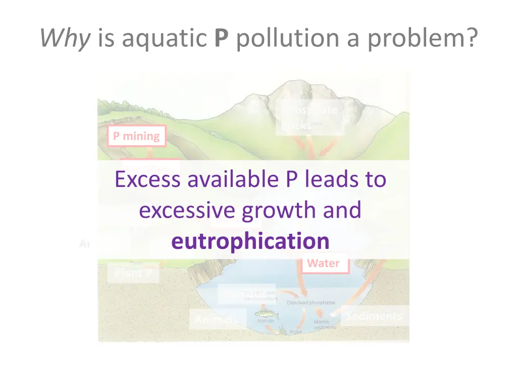 why is aquatic p pollution a problem 1