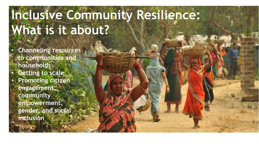 inclusive community resilience what is it about