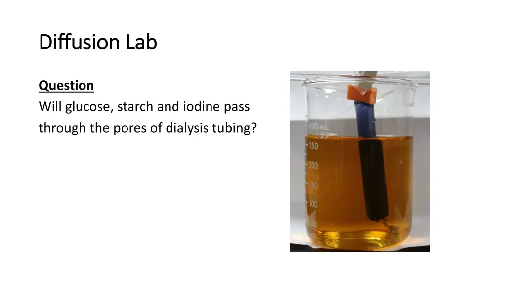 diffusion lab diffusion lab 1