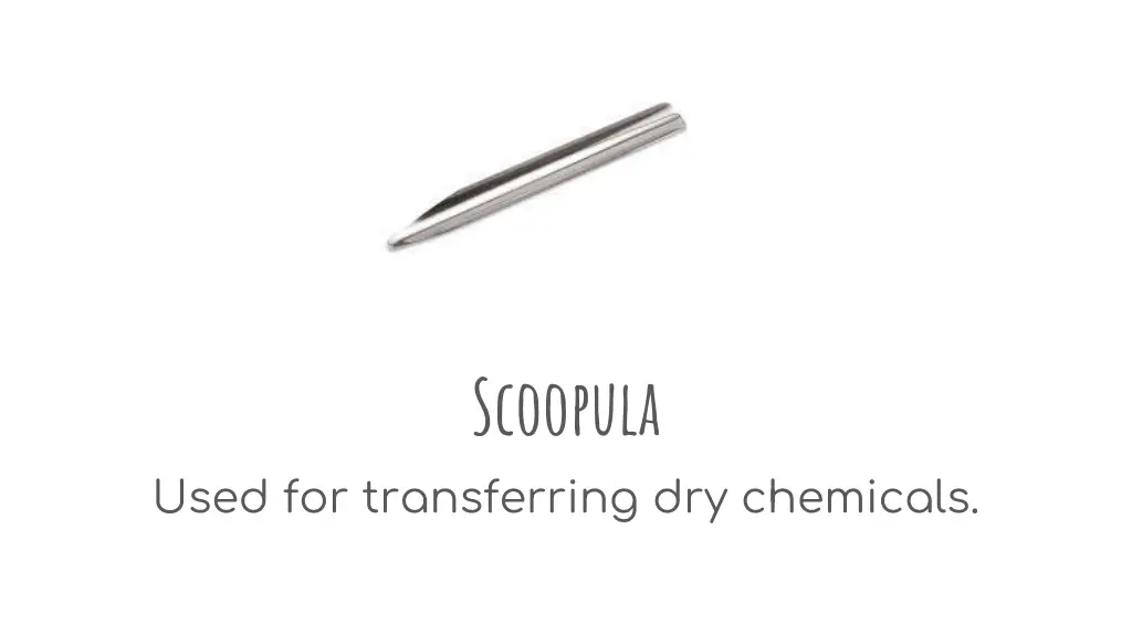 scoopula