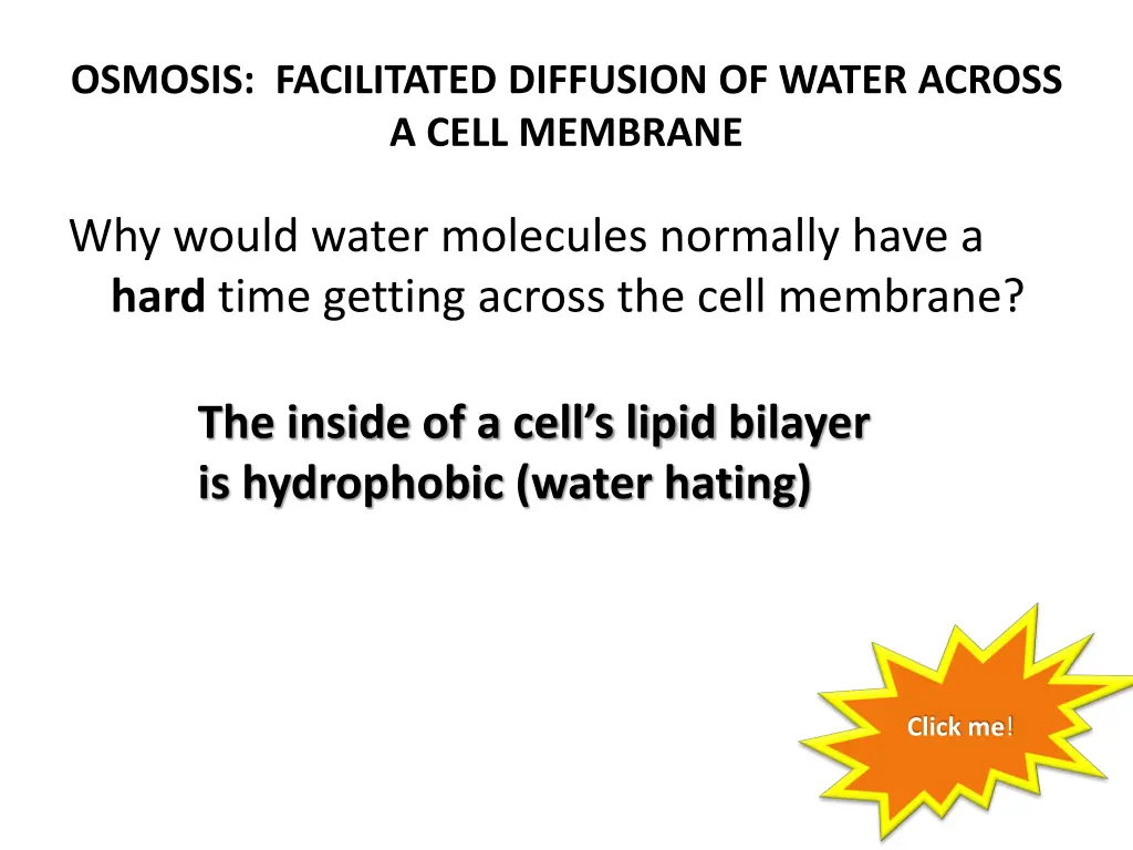 osmosis facilitated diffusion of water across