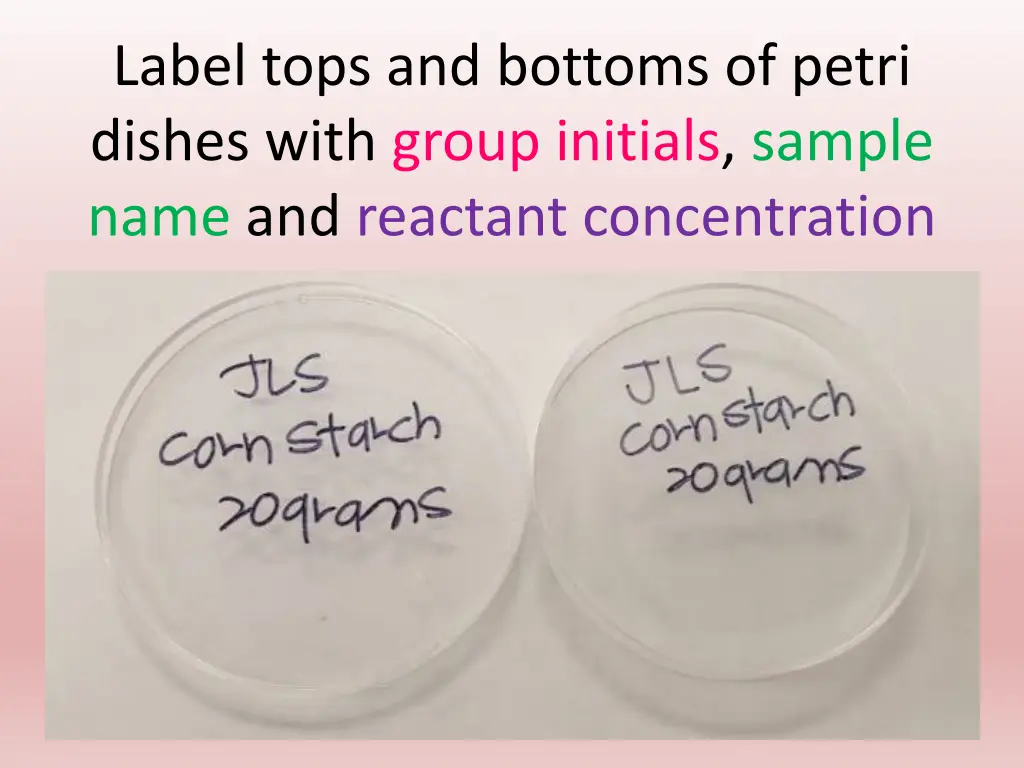 label tops and bottoms of petri dishes with group