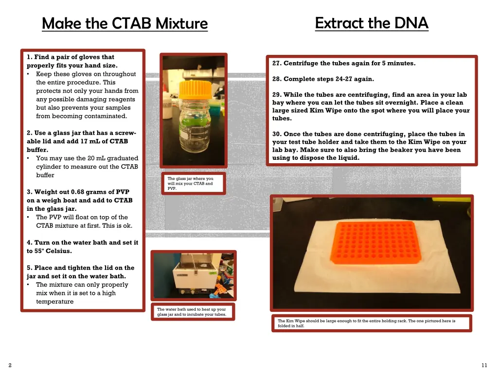 extract the dna 1