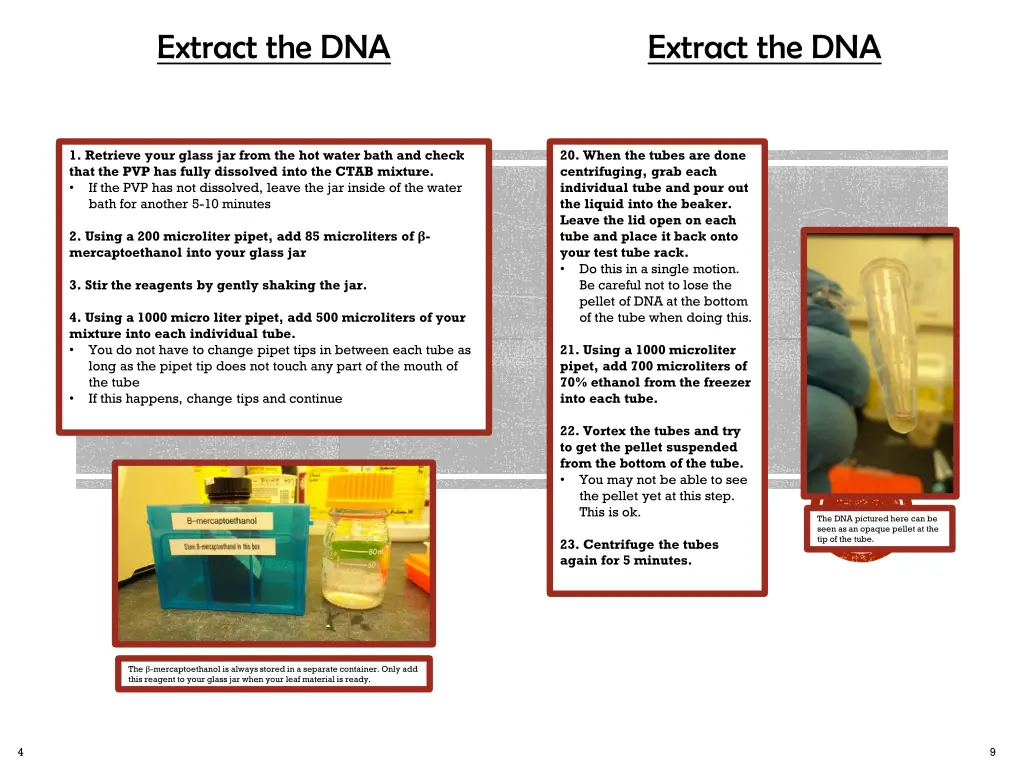 extract the dna 3