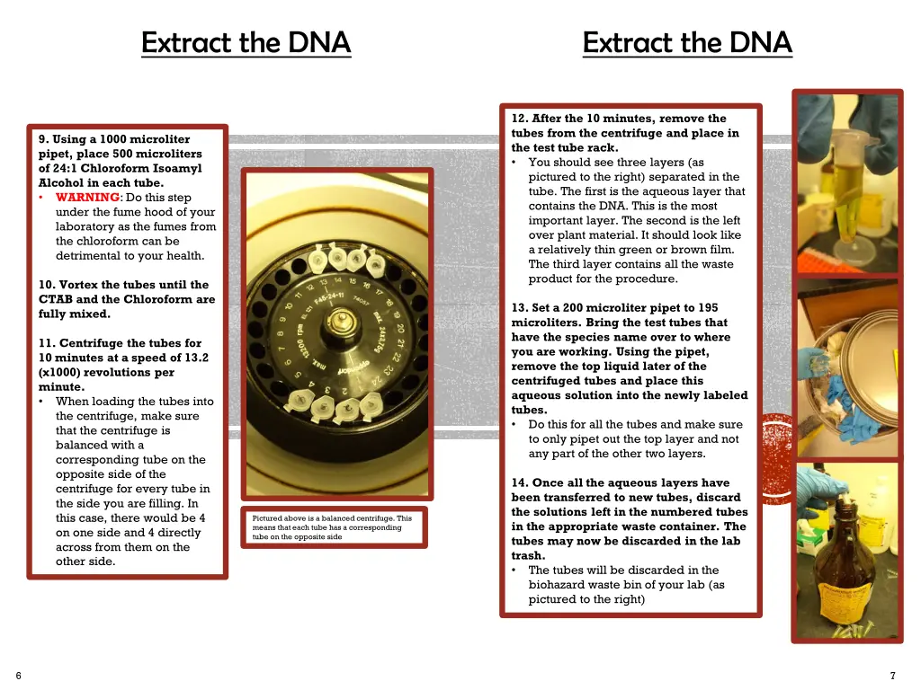 extract the dna 5