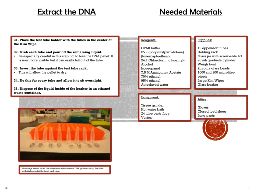 extract the dna