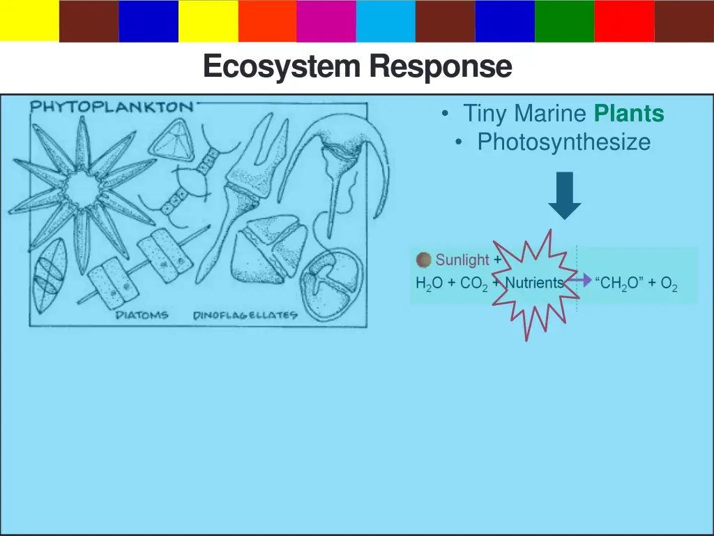 ecosystem response 1