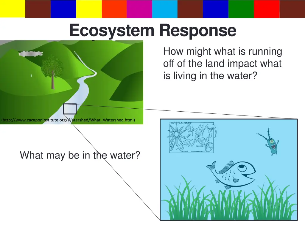 ecosystem response