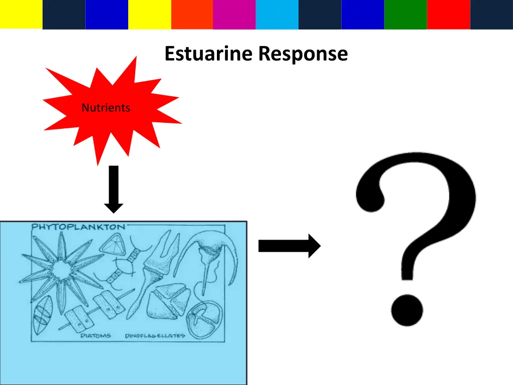 estuarine response