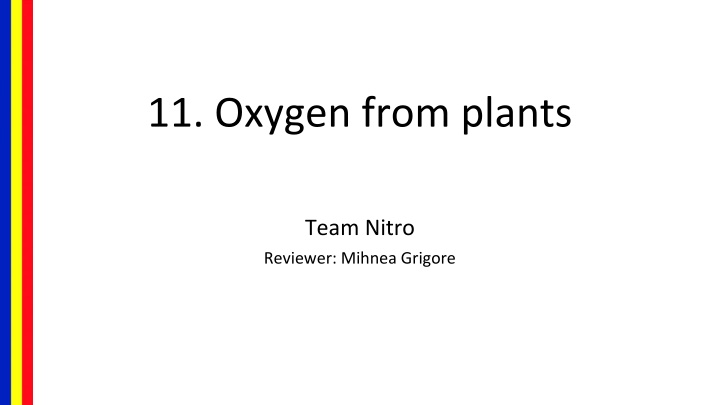 11 oxygen from plants