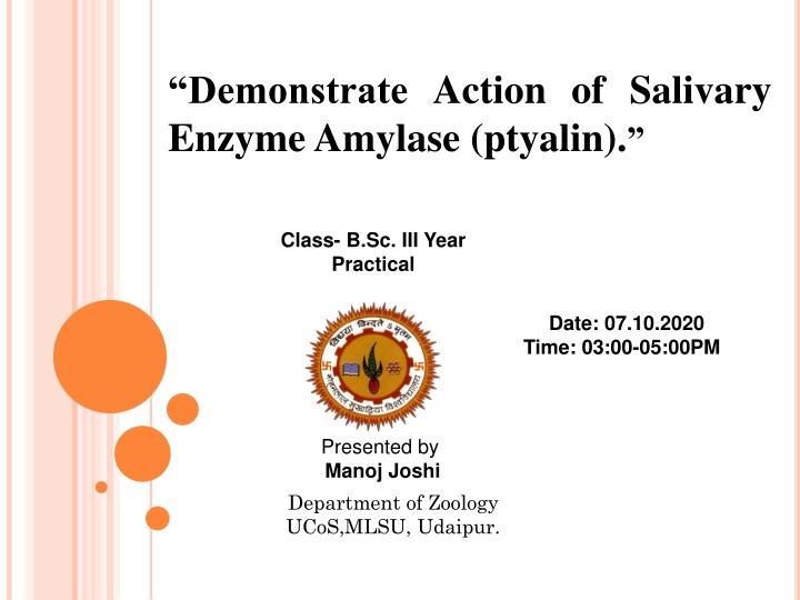 demonstrate action of salivary enzyme amylase