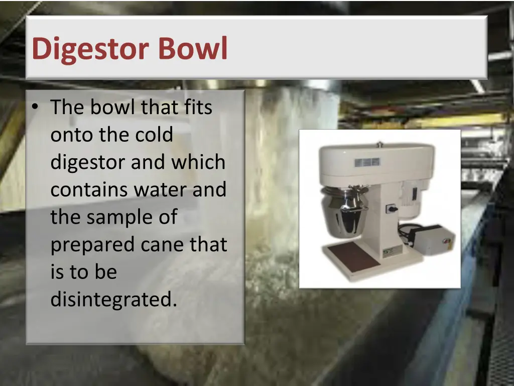 digestor bowl