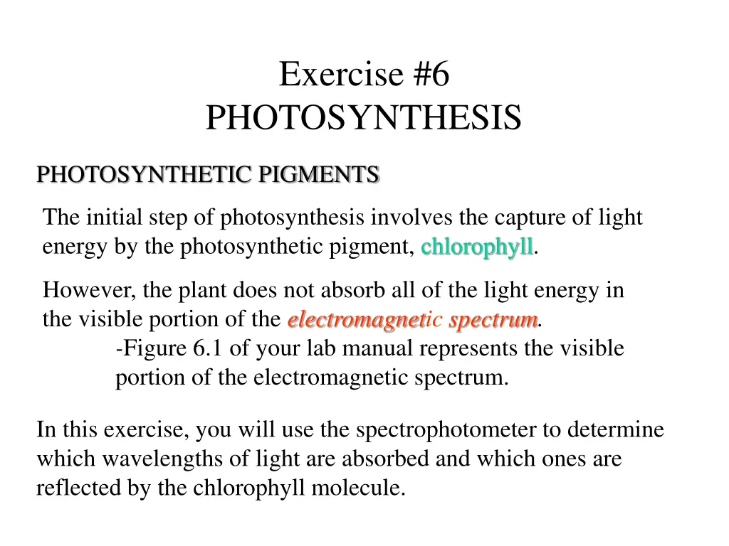 exercise 6 photosynthesis 1