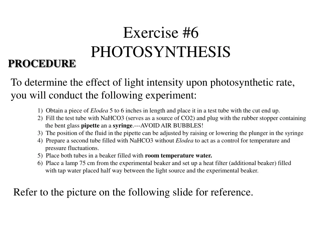 exercise 6 photosynthesis 6